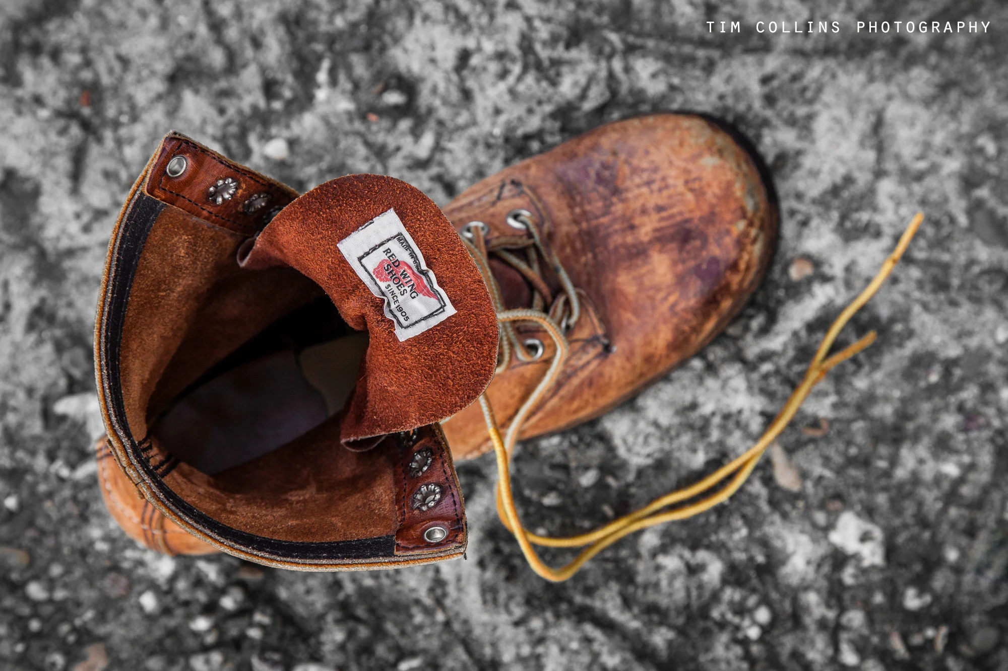Copyright Tim Collins Photography-5854 copy.jpg