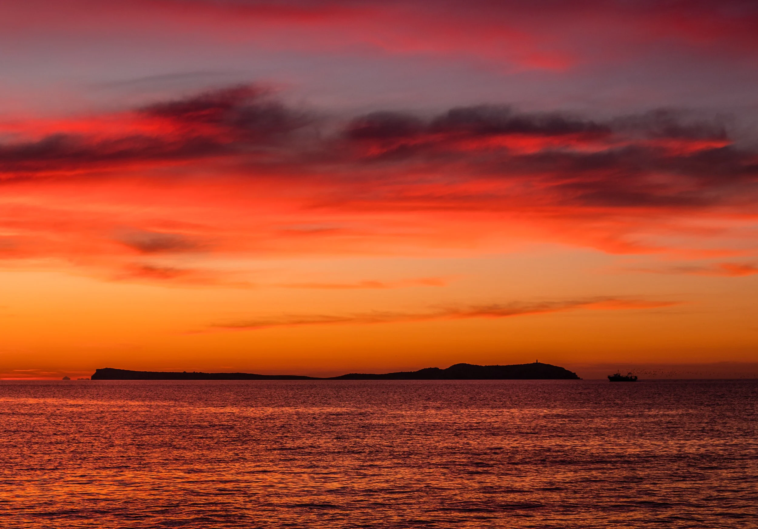 Copyright Tim Collins Photography-0551.jpg