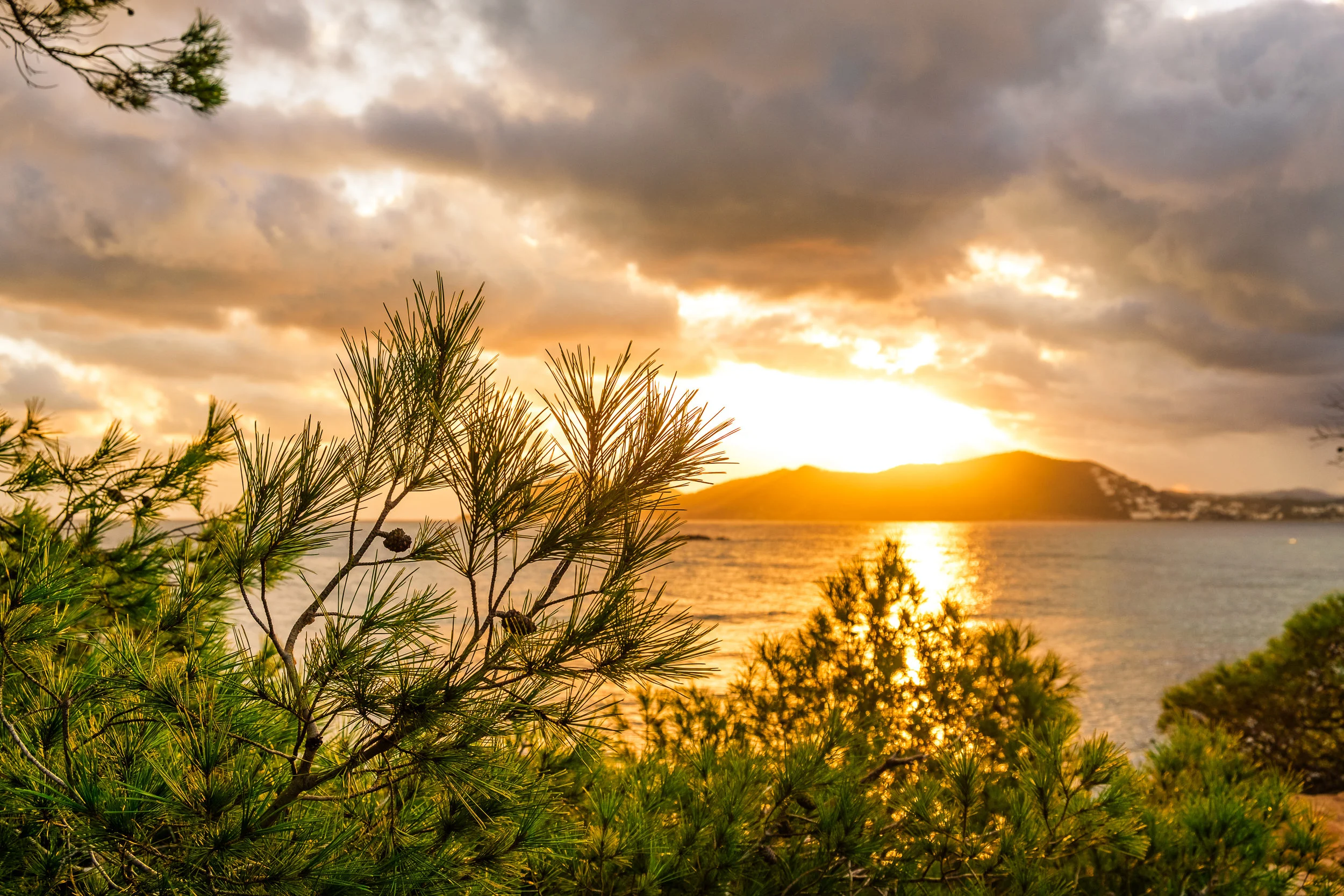 Copyright Tim Collins Photography-0781.jpg
