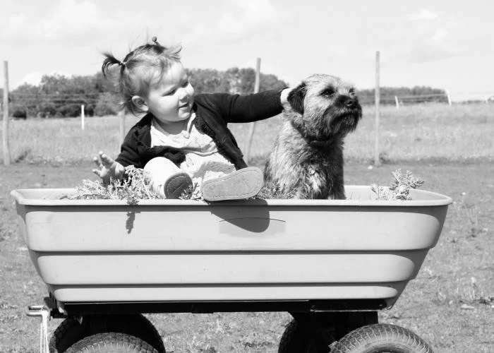 Clinic 38 kids acupuncture treatment