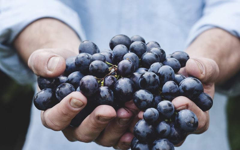 Clinic 38 healthy diet acupuncture