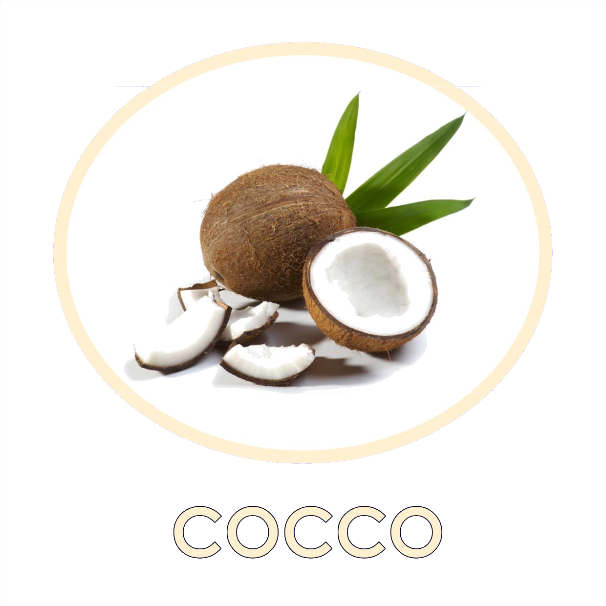 COCCO.png