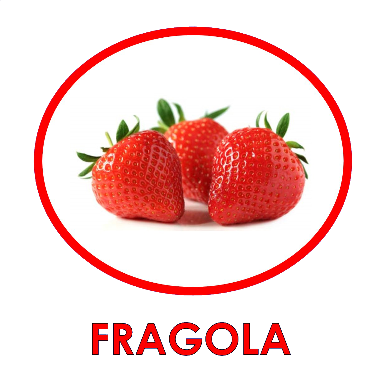 FRAGOLA.png