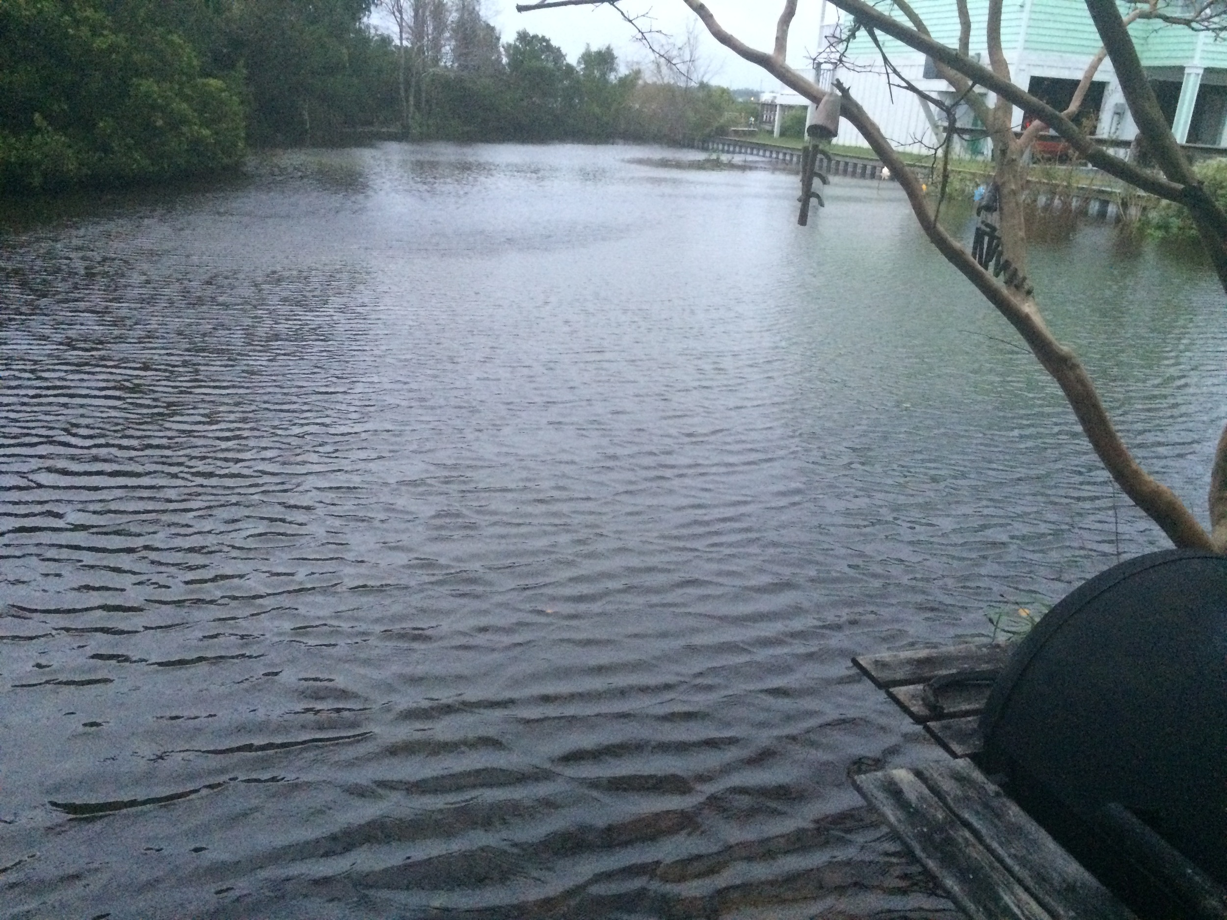My "yard" flooded.
