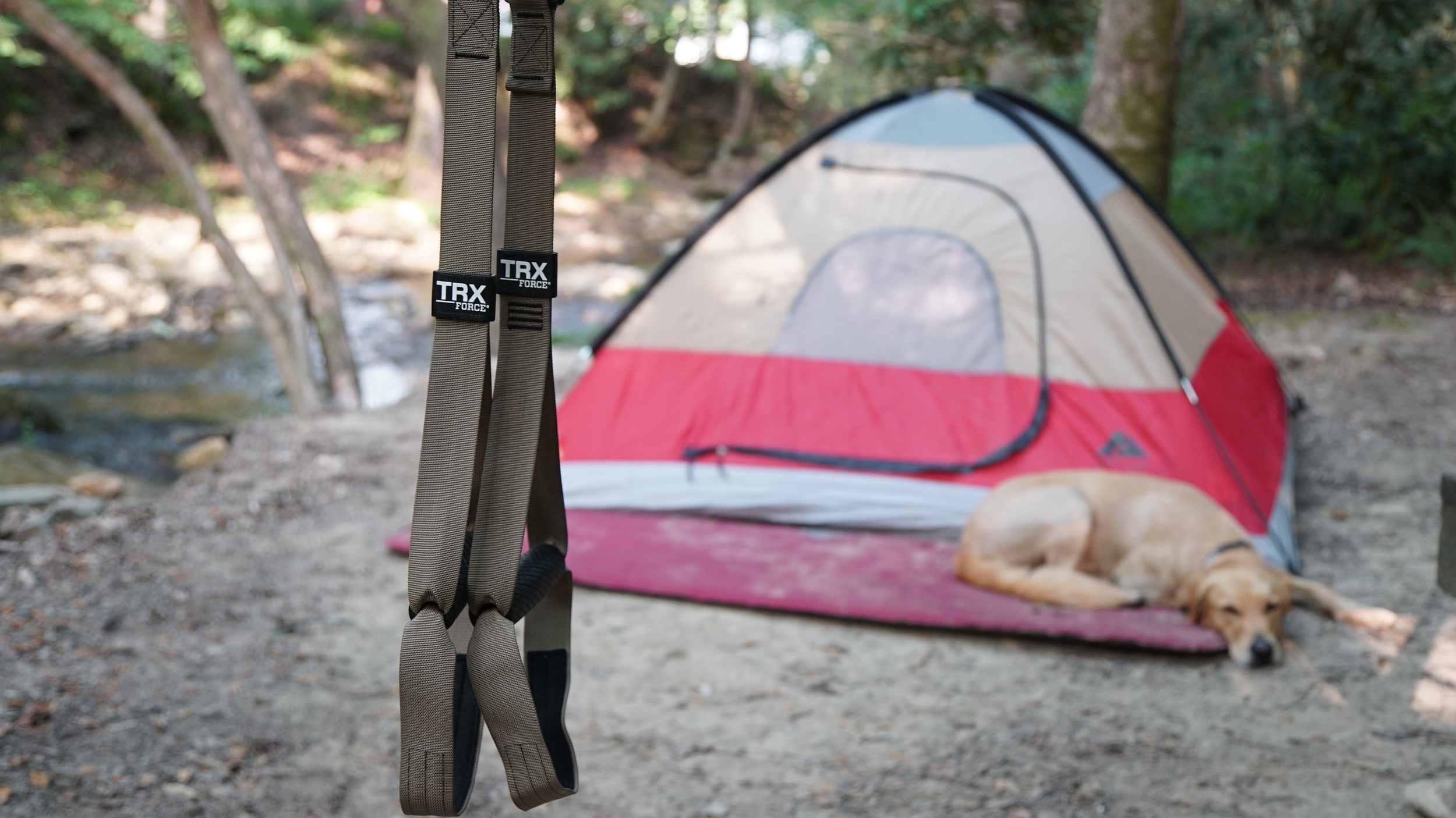 Catawba Falls campground right along the water, perfect TRX workout spot.