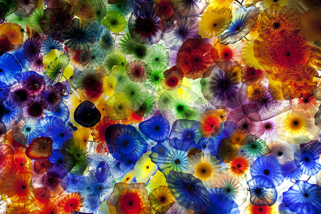  We are all going to become a bigger and happier family on May 25th at The Grove -&nbsp; located at&nbsp;691 Pompton Ave., Cedar Grove, NJ 07009. For directions, consult the   oracle  .&nbsp;   NB:&nbsp; 