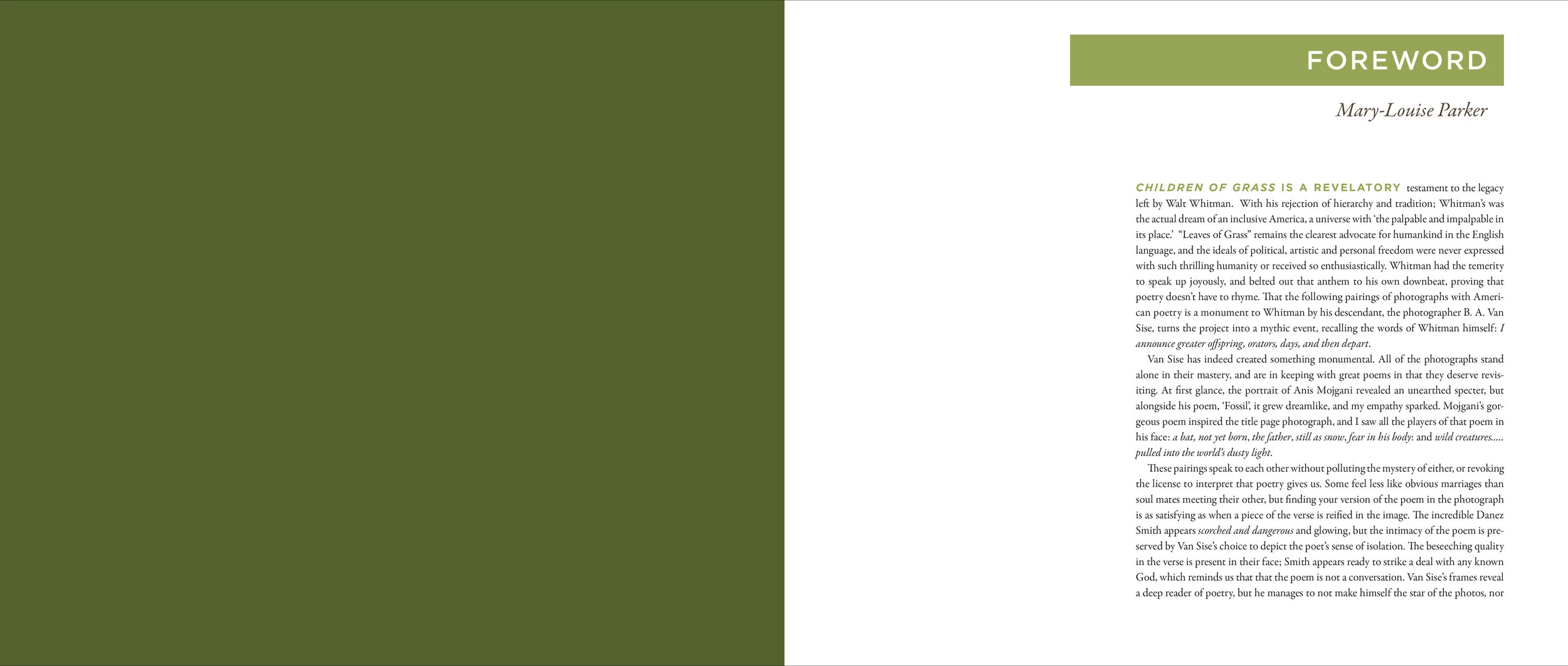 ChildrenOfGrass_final_pp_spreads-4.jpg