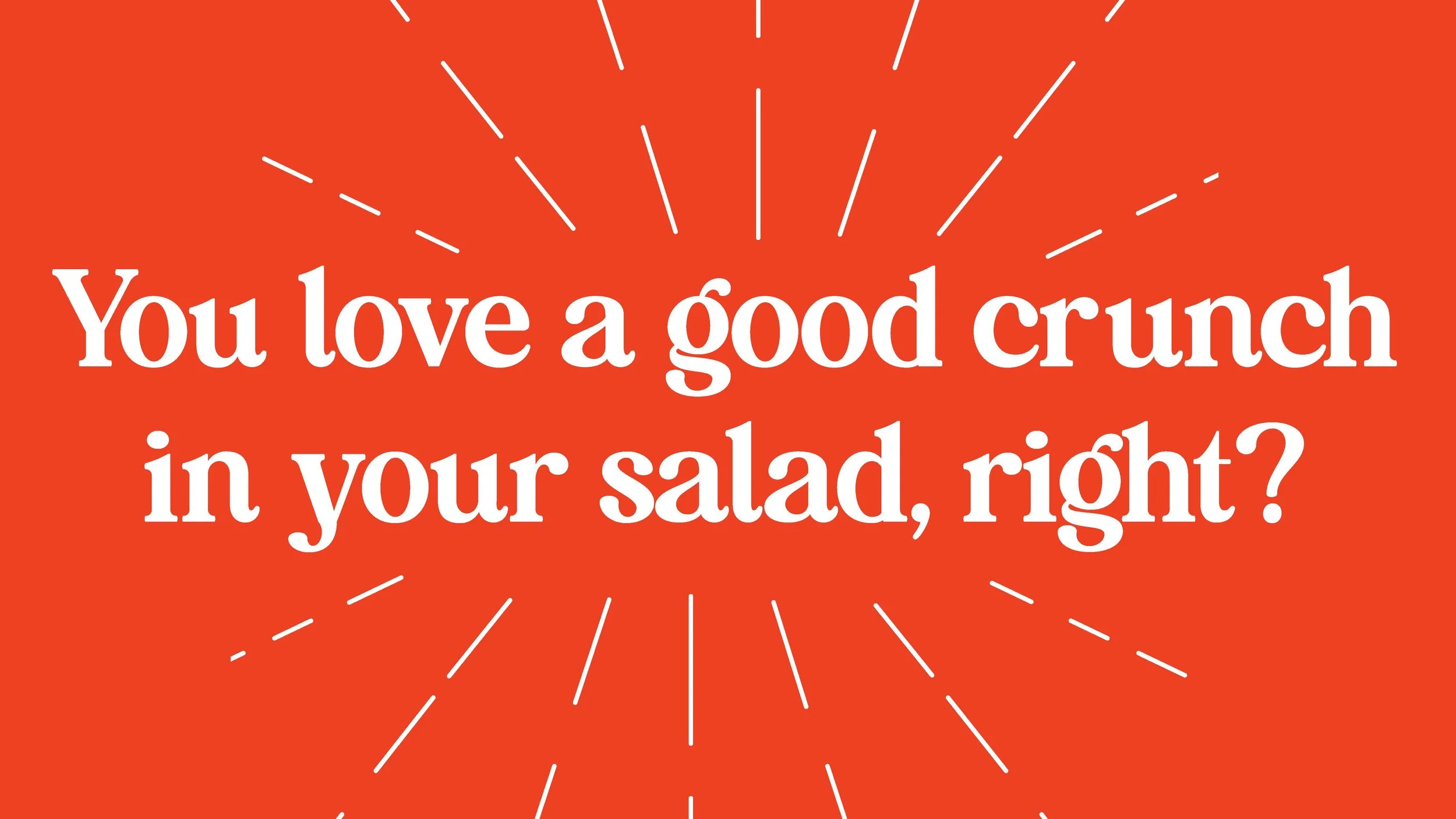 SaladSprinkles_BrandDeck25_Page_02.jpg