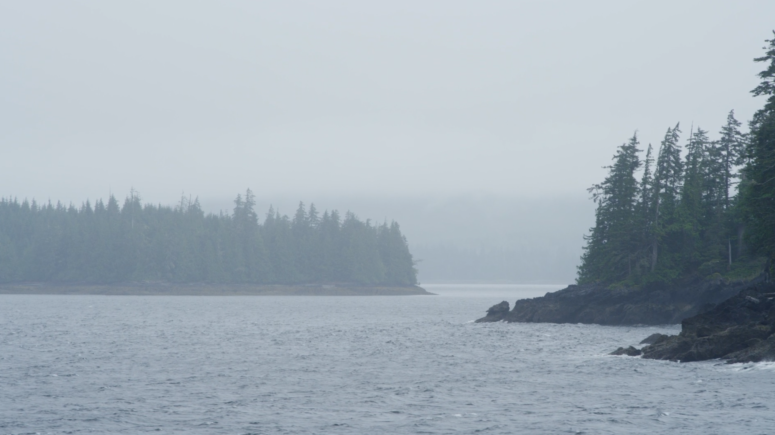 Screenshot 2014-11-03 15.14.37.png