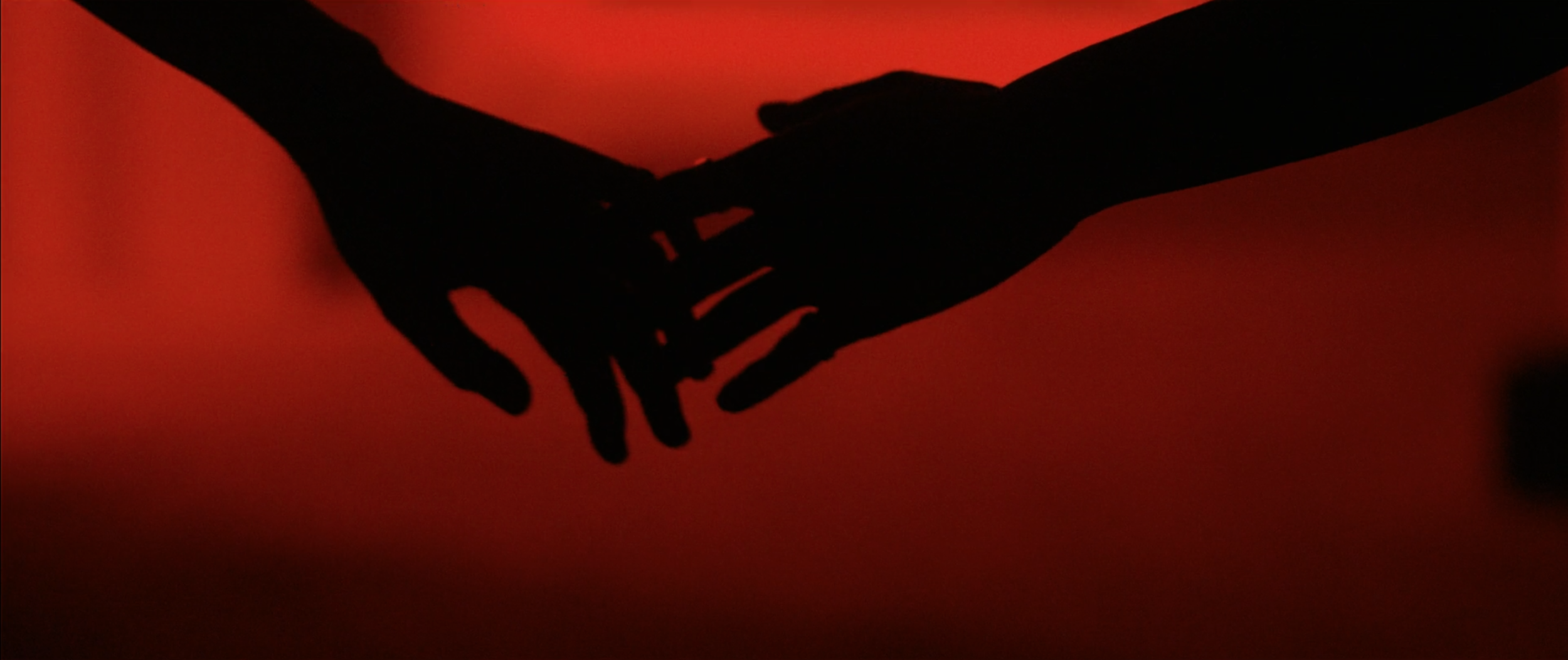 Screen Shot 2016-04-25 at 1.32.20 PM.png