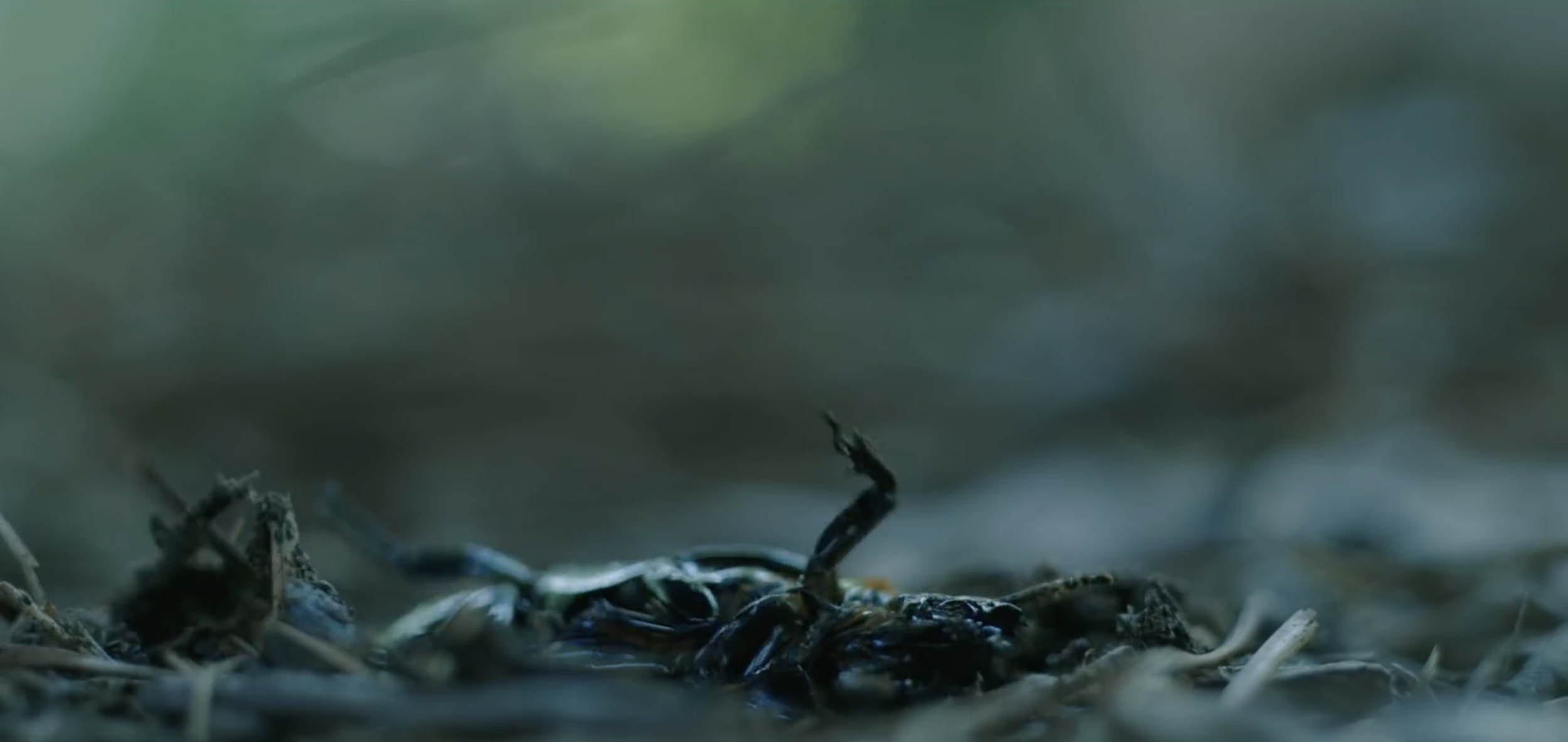 Screenshot 2019-10-24 12.23.07.png