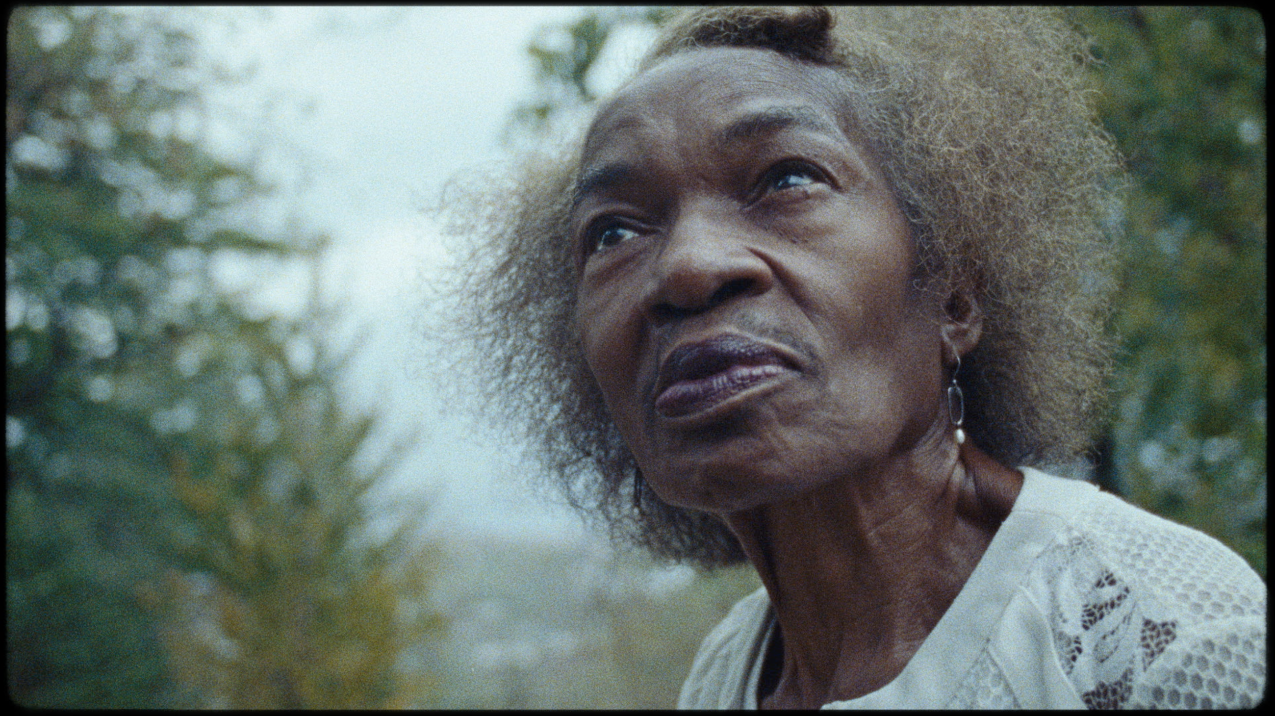 Screen Shot 2020-02-21 at 11.05.39 AM.png