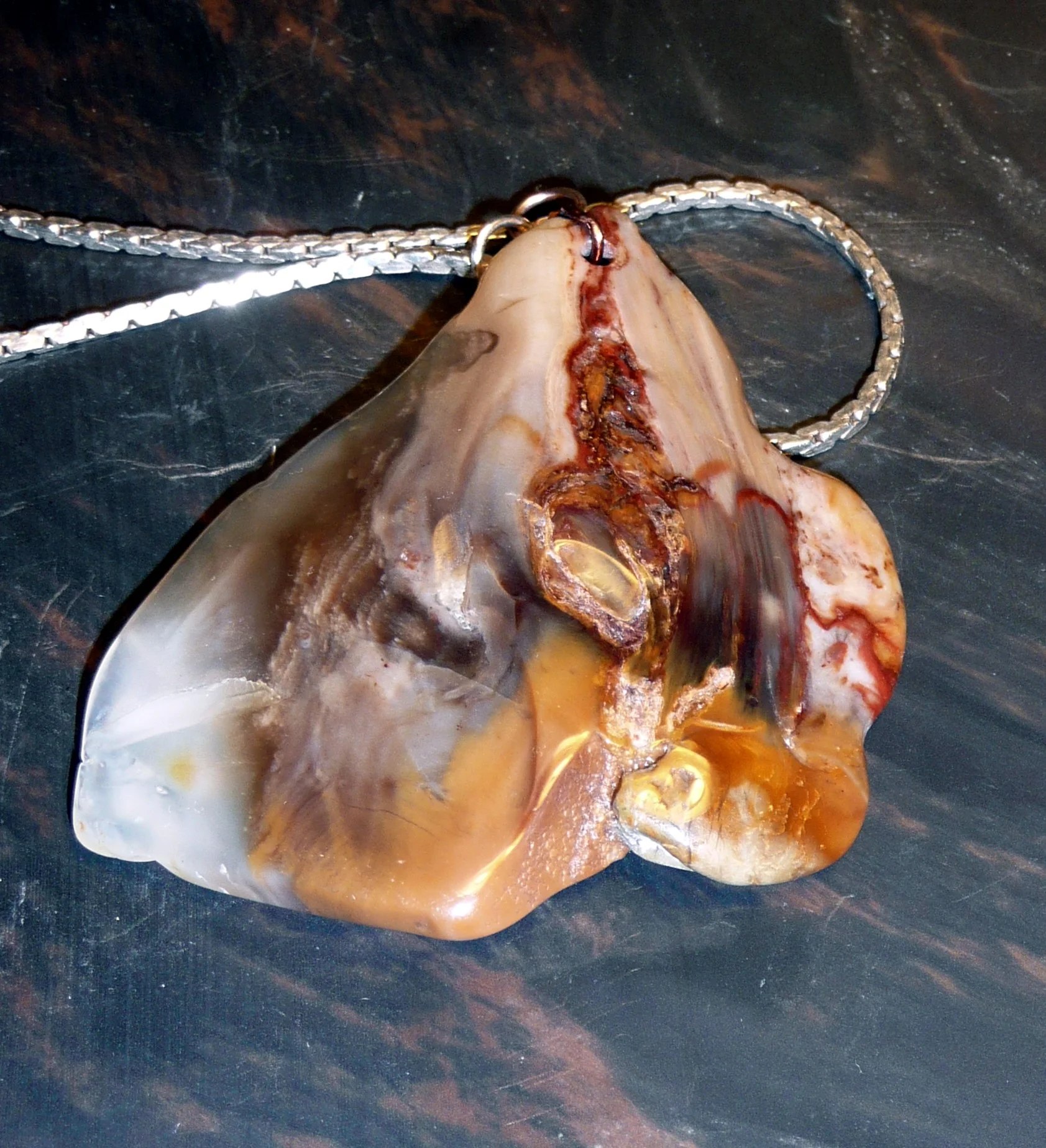 Petrified Wood Pendants
