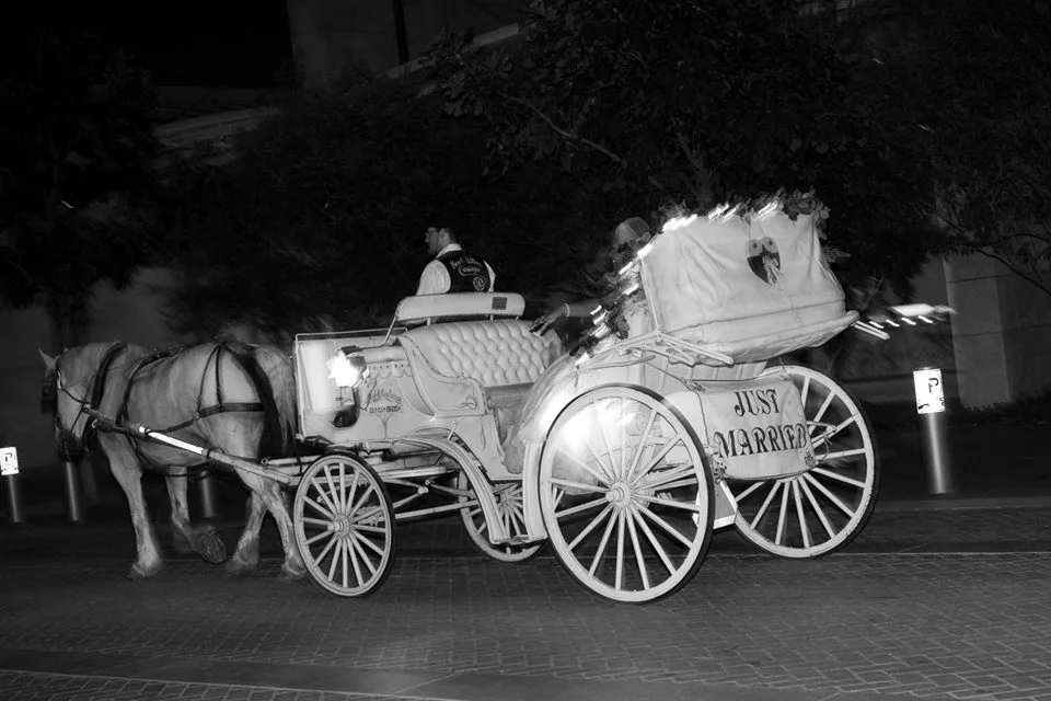 White- Carriage Ride.jpg