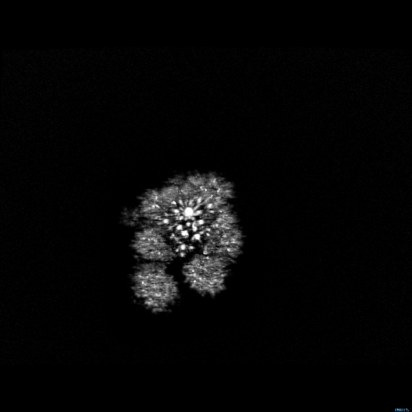 6Hdaiqf.gif