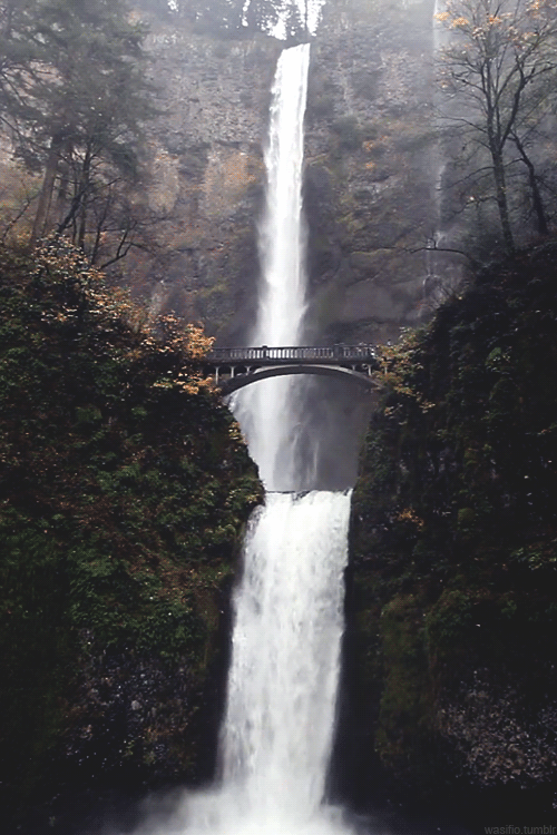 tumblr_mqdl78ZNq01r3gh8ro1_500.gif