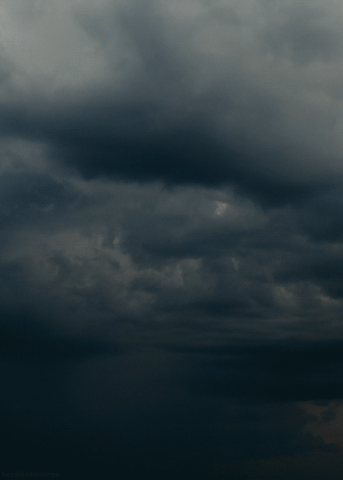natural-cinemagraphs-5.gif