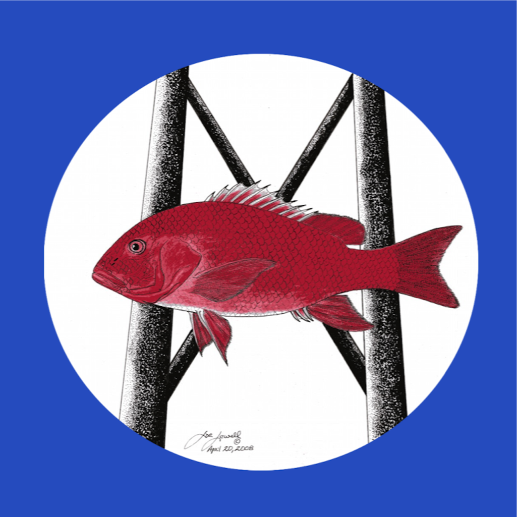 Tails n Scales App Icon - SQ.png
