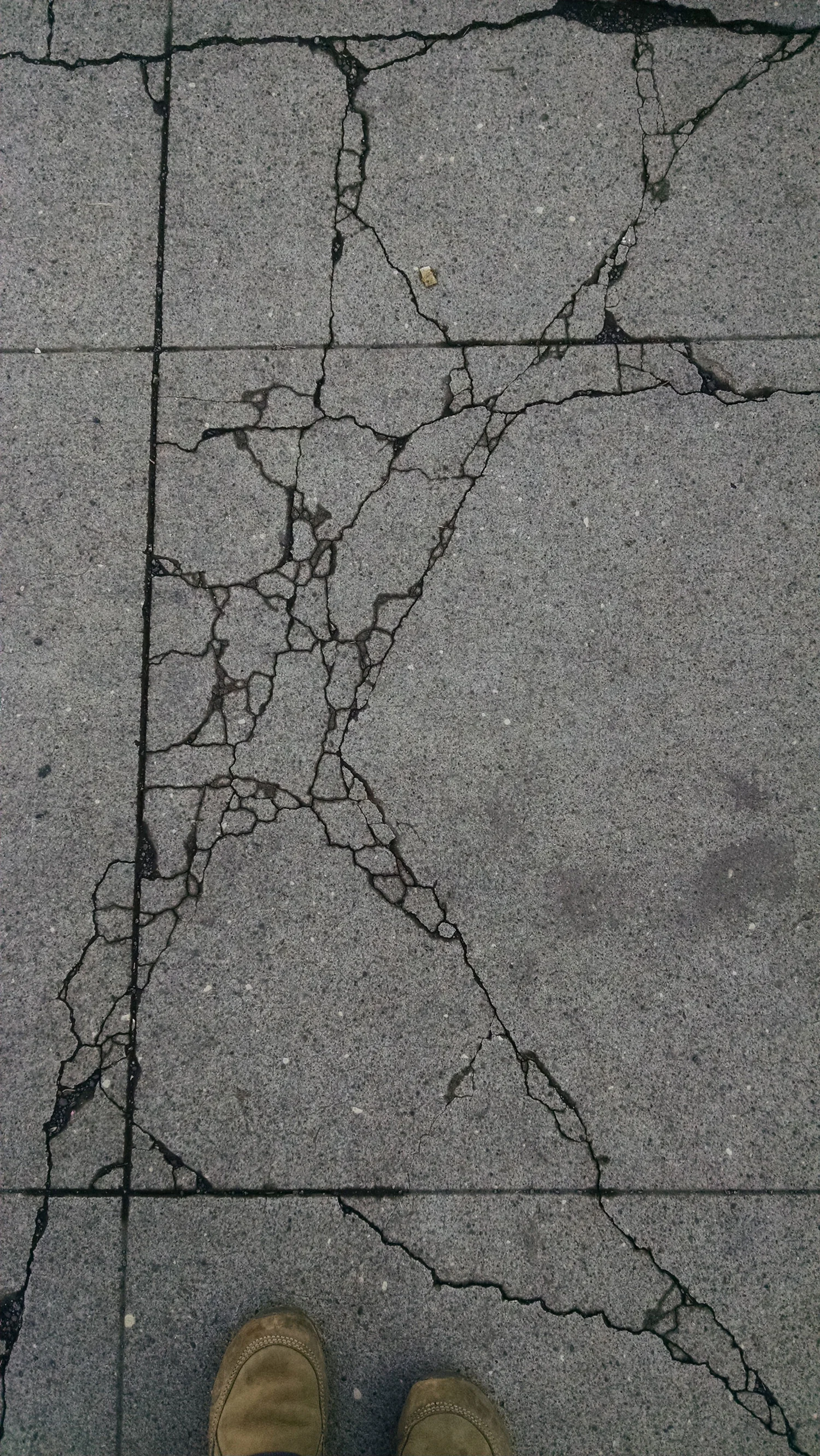 Some patterns are more obvious during or after rain