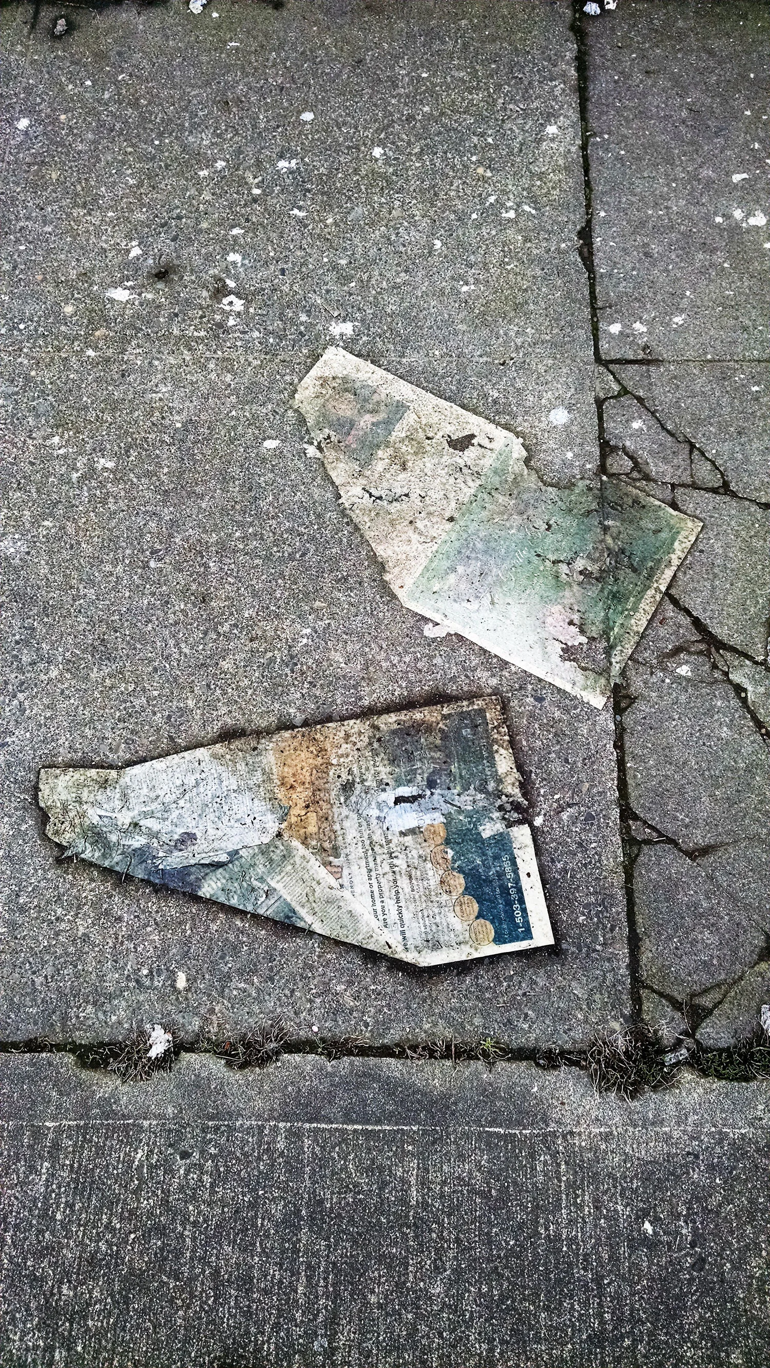 Even wet trash on the sidewalk can make an interesting composition.