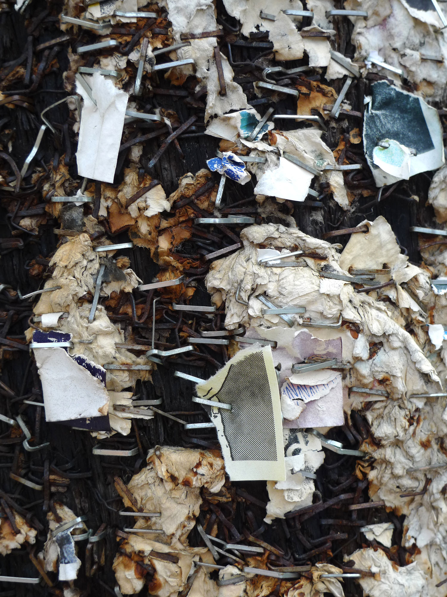 You See But You Do Not Observe