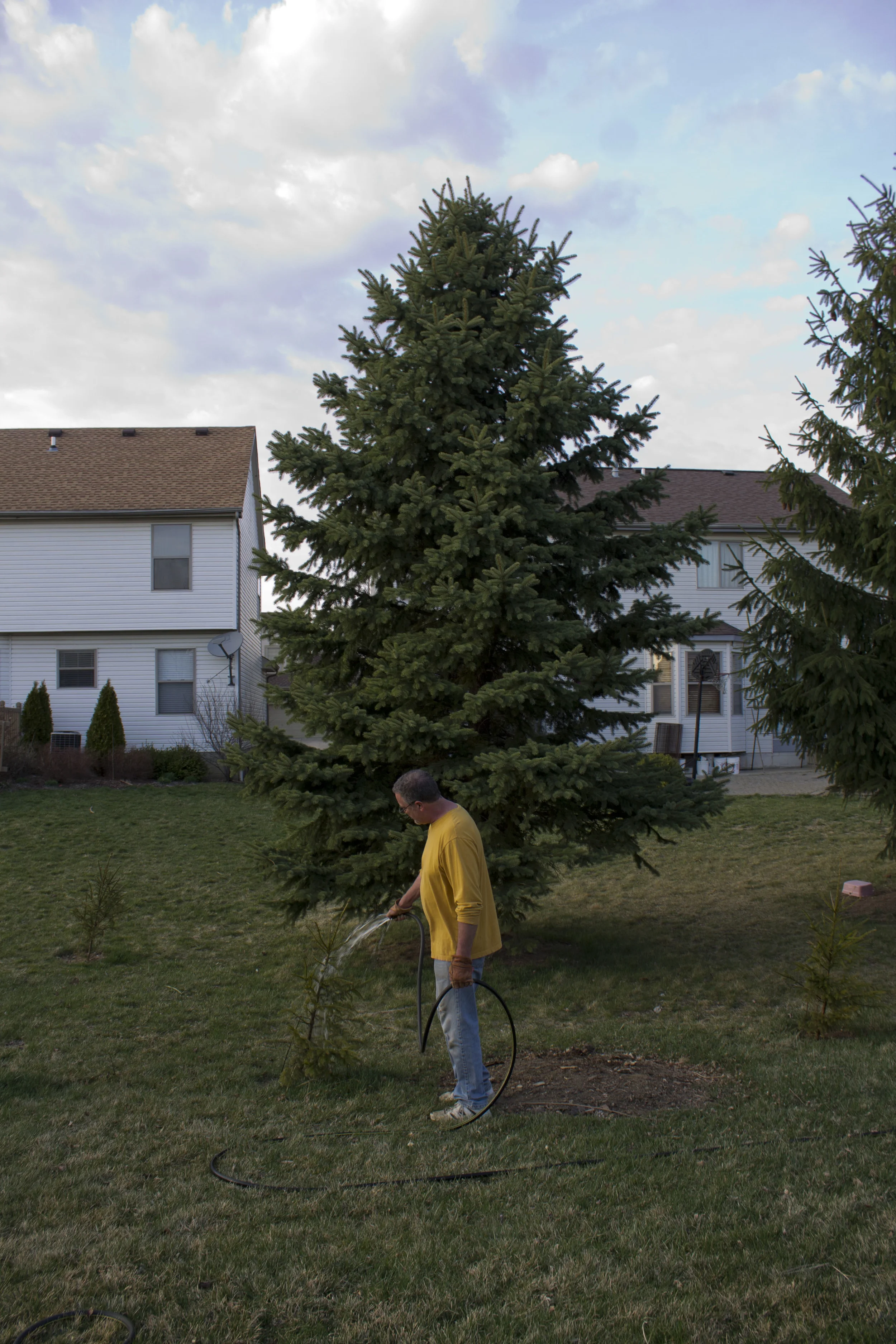 domestic spaces_9 copy.JPG