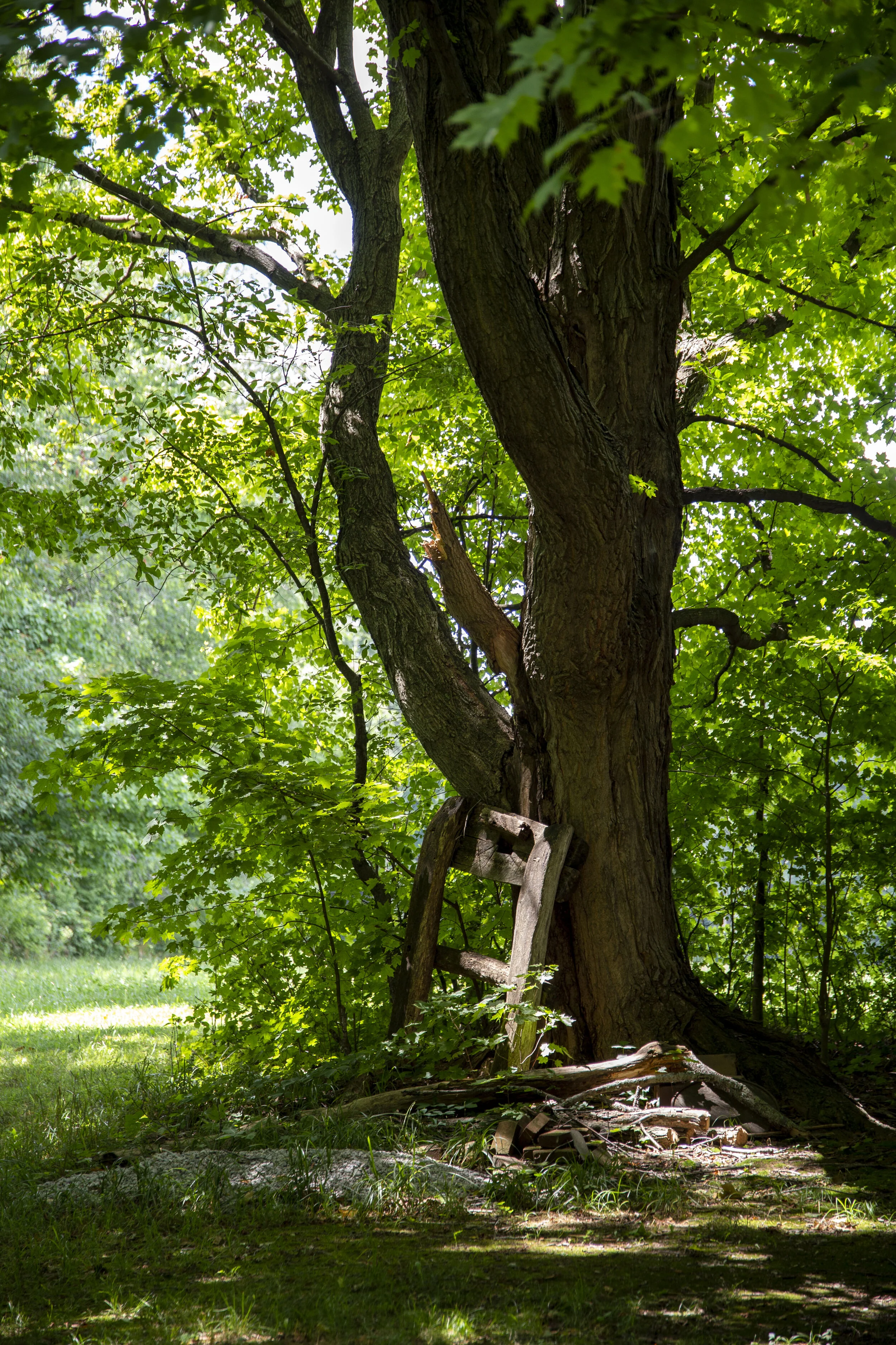 selling magic_15.JPG