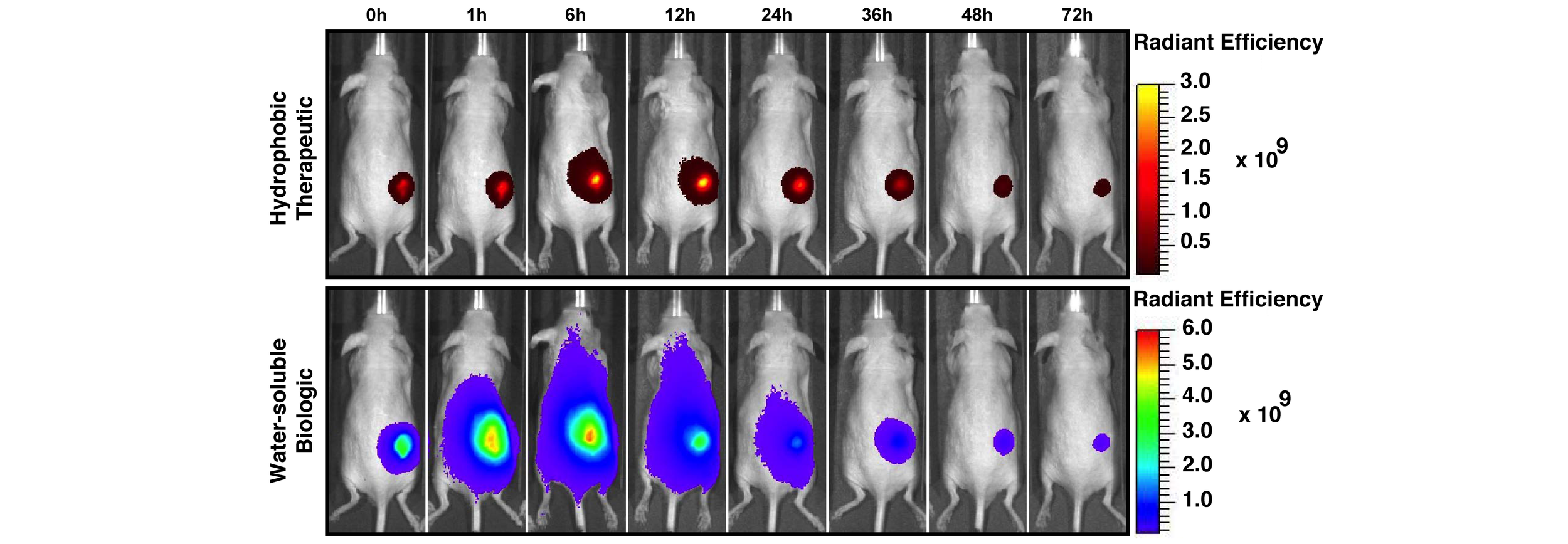 Controlled Drug Delivery