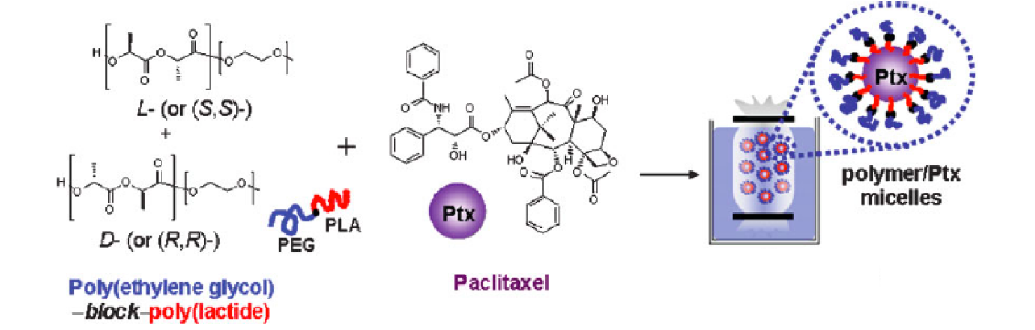 HIERARCHICAL SUPERMOLECULAR STRUCTURES FOR SUSTAINED DRUG RELEASE Tan, J.P.K.; Kim, S.H.; Nederberg, F.; Appel, E.A.; Waymouth, R.M.; Zhang, Y.; Hedrick, J.L.*; Yang, Y.Y.* Small (2009) PDF