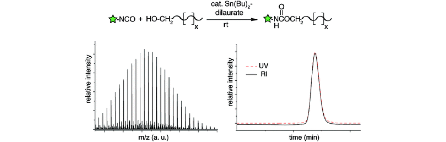 POST-POLYMERIZATION MODIFICATION OF HYDROXYL-FUNCTIONALIZED POLYMERS WITH ISOCYANATES Biedermann, F.; Appel, E.A.; del Barrio, J.; Gruendling, T.; Barner-Kowollik, C.; Scherman, O.A.* Macromolecules (2011) PDF
