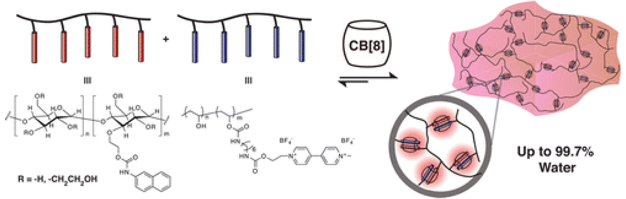 ULTRAHIGH-WATER-CONTENT HYDROGELS FROM RENEWABLE RESOURCES EXHIBITING MULTI-STIMULI RESPONSIVENESS Appel, E.A.; Loh, X.J.; Jones, S.T.; Biedermann, F.; Dreiss, C.A.; Scherman, O.A.* Journal of the American Chemical Society (2012) PDF