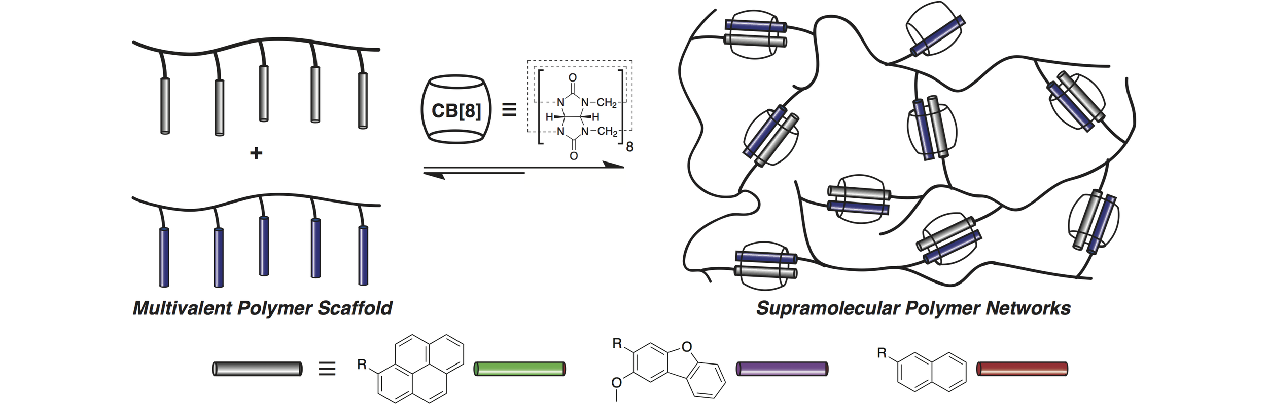 ACTIVATION ENERGIES CONTROL MACROSCOPIC PROPERTIES OF PHYSICALLY CROSSLINKED MATERIALS Appel, E.A.; Forster, R.A.; Koutsiobas, A.; Toprakcioglu, C.; Scherman, O.A.* Angewandte Chemie International Edition (2014) PDF