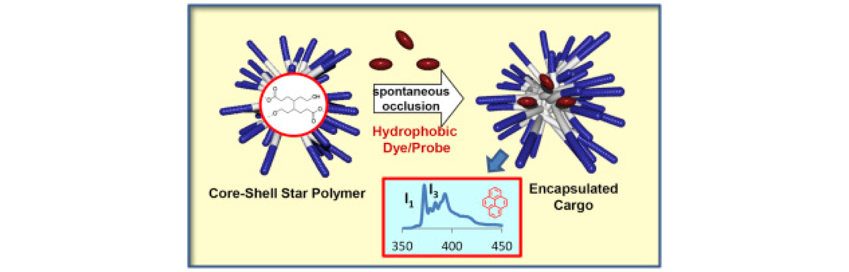 WATER SOLUBLE, BIODEGRADABLE AMPHIPHILIC POLYMERIC NANOPARTICLES AND THE MOLECULAR ENVIRONMENT OF HYDROPHOBIC ENCAPSULATES: CONSISTENCY BETWEEN SIMULATION AND EXPERIMENT Miller, R.D.*; Yusoff, R.M.; Swope, W.C.; Rice, J.E.; Carr, A.C.; Parker, A.J.; Sly, J.; Appel, E.A.; Nguyen, R.; Piunova, V. Polymer (2015) PDF