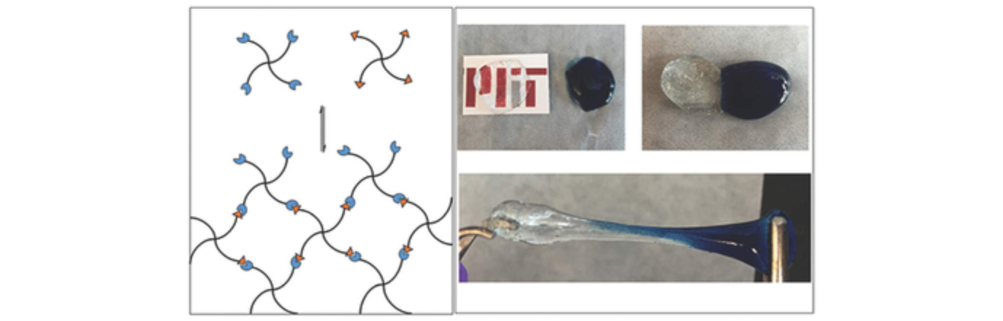 INJECTABLE SELF-HEALING GLUCOSE RESPONSIVE HYDROGELS WITH PH-BASED REGULATED MECHANICAL PROPERTIES Yesilyurt, V.; Webber, M.J.; Appel, E.A.; Godwin, C., Langer, R.; Anderson, D.G.* Advanced Materials (2016) PDF