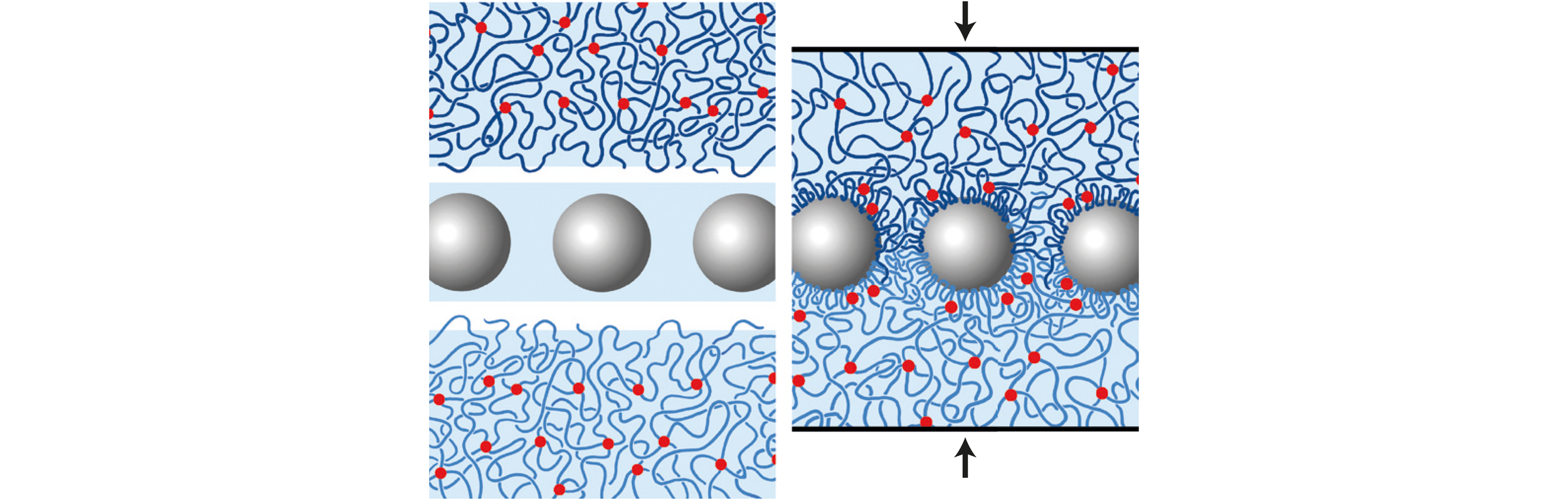 GLUING GELS: A NANOPARTICLE SOLUTION Appel, E.A.* and Scherman, O.A.* Nature Materials (2014) PDF