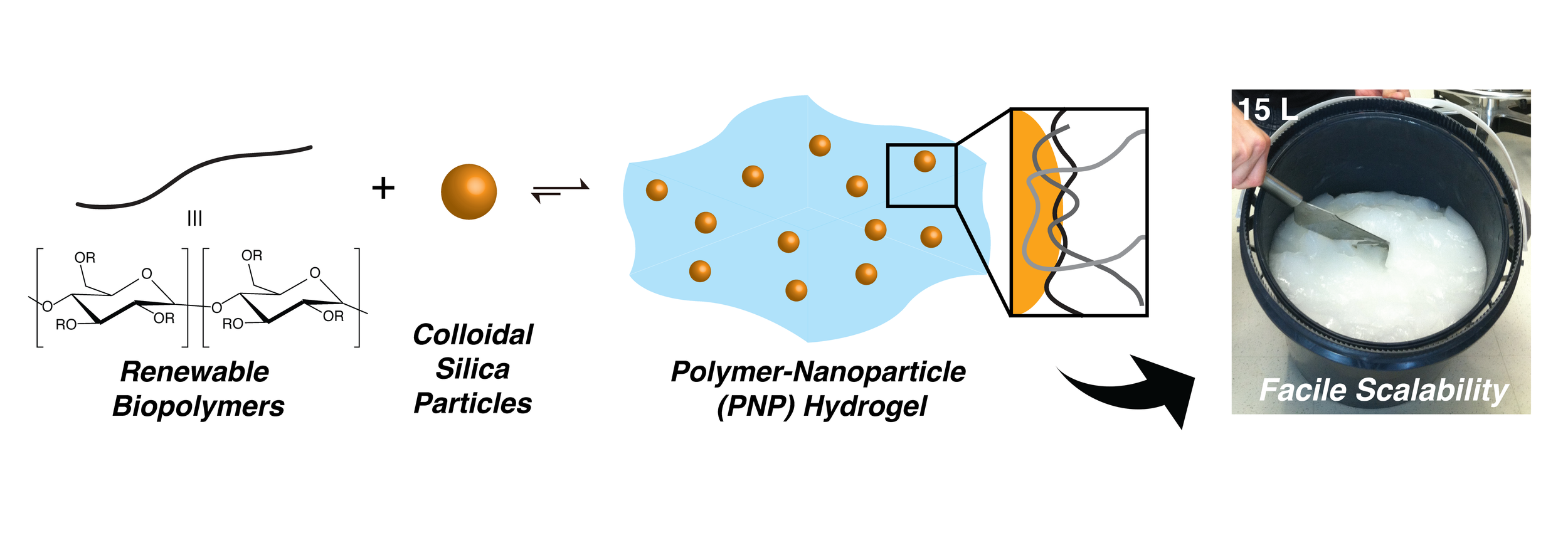 Scalable Biomimetic Hydrogels for Industrial Applications