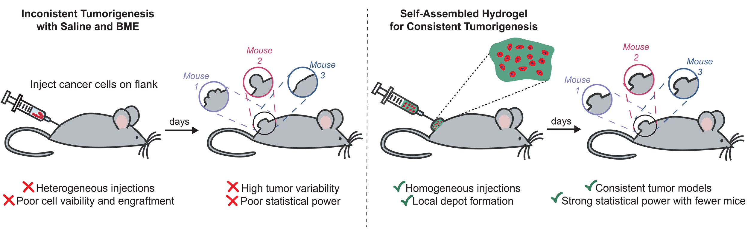 Preprints Supramolecular Bio Materials