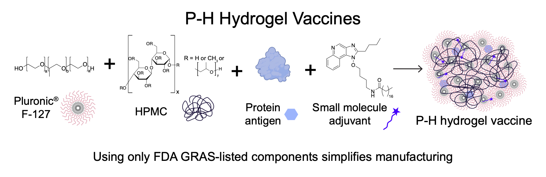    ENABLING GLOBAL ACCESS TO POTENT SUBUNIT VACCINES WITH A SIMPLE AND SCALABLE INJECTABLE HYDROGEL PLATFORM    Ganesh, P.; Prossnitz, A.N.; Jons, C.K.; Eckman, N.; Alakesh, A.; Song, Y.E.; Sen, S.; Appel, E.A.*  Biomaterials Science  (2025)   PDF   