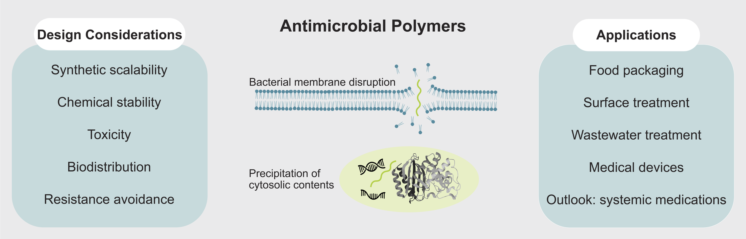   DISCOVERY AND DEVELOPMENT OF ANTIMICROBIAL POLYMERS   Williams, S.C.; Ganesh, P.; Leng, T.; de la Fuente-Nunez, C.*; Appel, E.A.*  Nature Chemistry  (2026)  PDF  