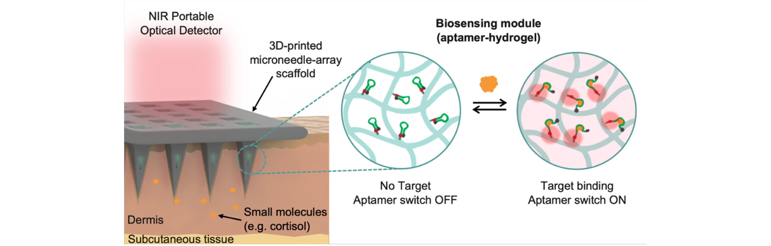   A 3D-PRINTED SCAFFOLDED HYDROGEL MICRONEEDLE ARRAY BIOSENSOR FOR REAL-TIME, CONTINUOUS MONITORING   Kwak, J.-W.; Trinh, T.; White, A.D.; Chen, Y.; Eckman, N.; Jain, I.; Xu, Y.; Nguyen, N.; Gopalan, D; Kim, Y.-E.; Kamat, N.; Tumbleston, J.R.; Park, 