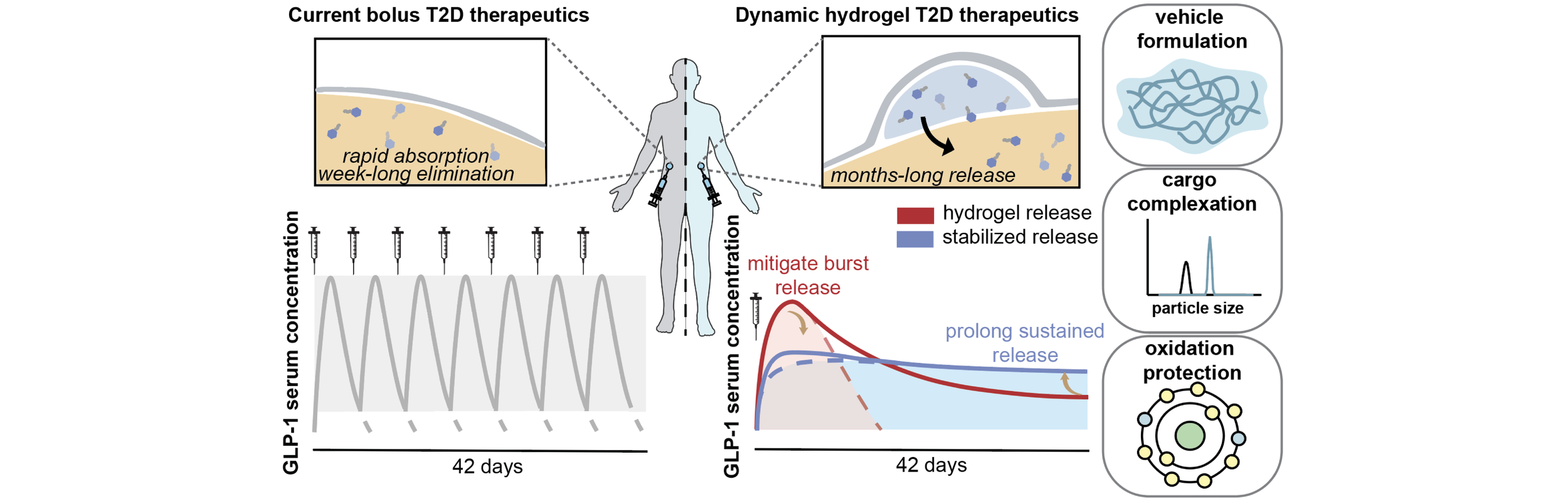    STRUCTURE-PROPERTY-PERFORMANCE ENGINEERING OF HYDROGEL DEPOTS FOR LONG-ACTING PEPTIDE DELIVERY    Dong, C.; d’Aquino, A.I.; Sen, S.; Alakesh, A.; Jons, C.K.; Eckman, N.; Williams, C.M.; Nguyen, L.T.; Yan, J.; Saouaf, O.M.; Song, Y.E.; Hall, I.A.; 