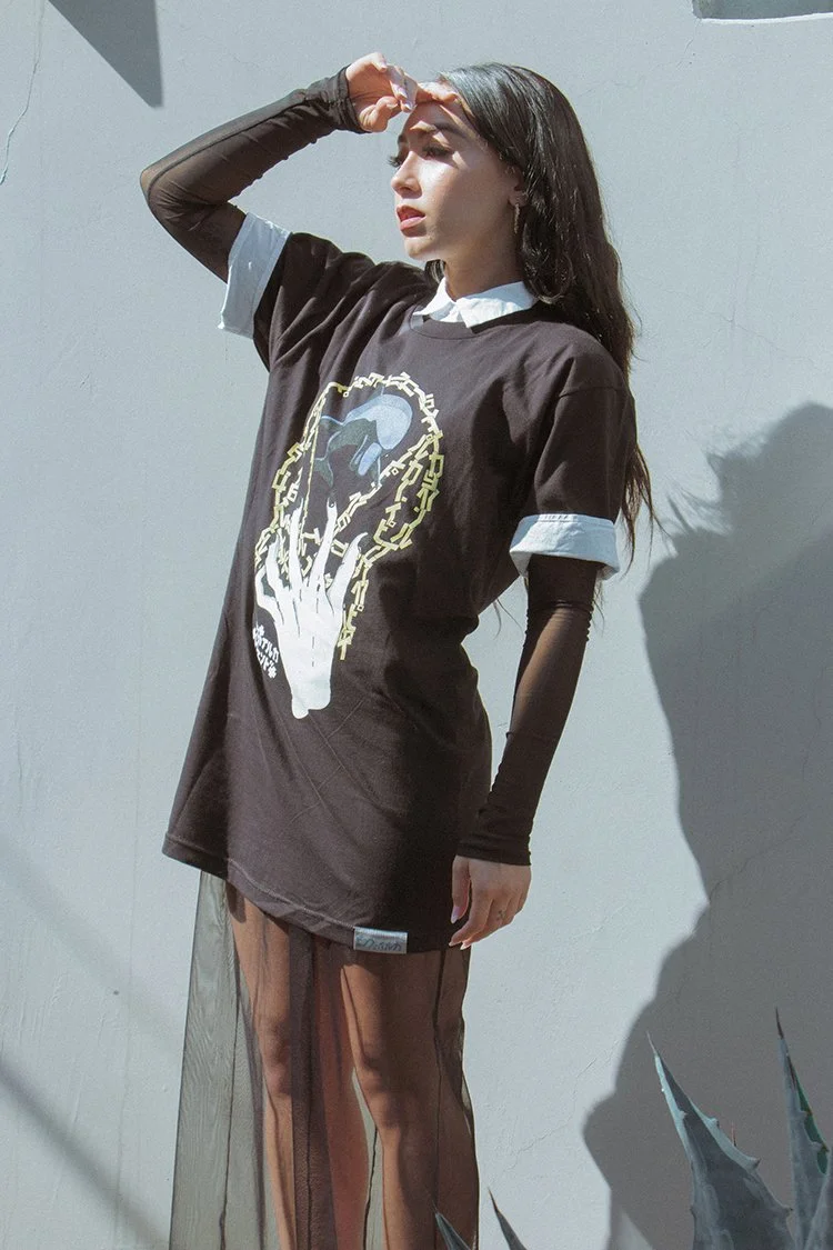 owslapinkdolphin.jpg
