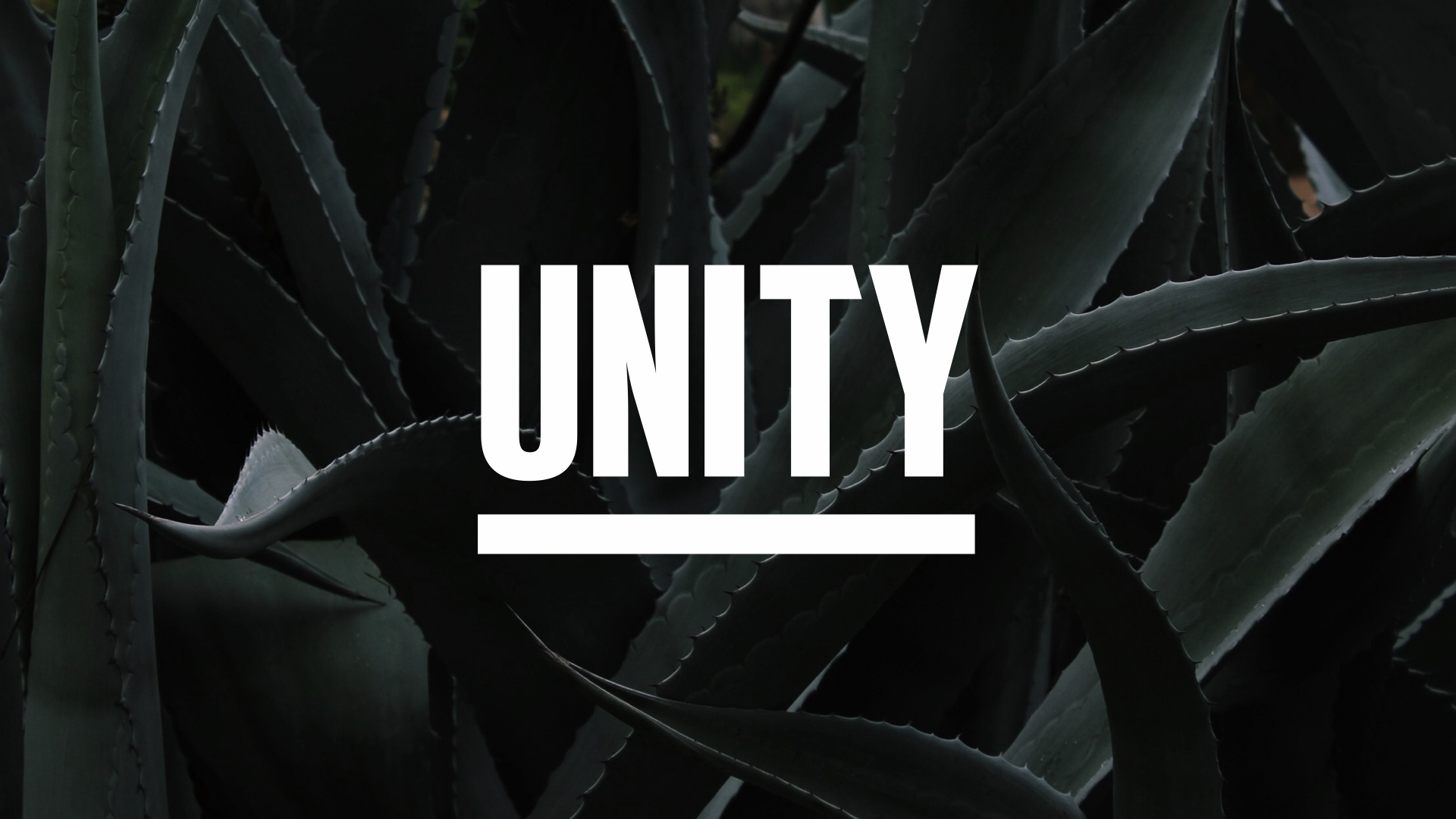 unity case study.005.jpeg