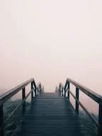 foggy lpath.jpeg