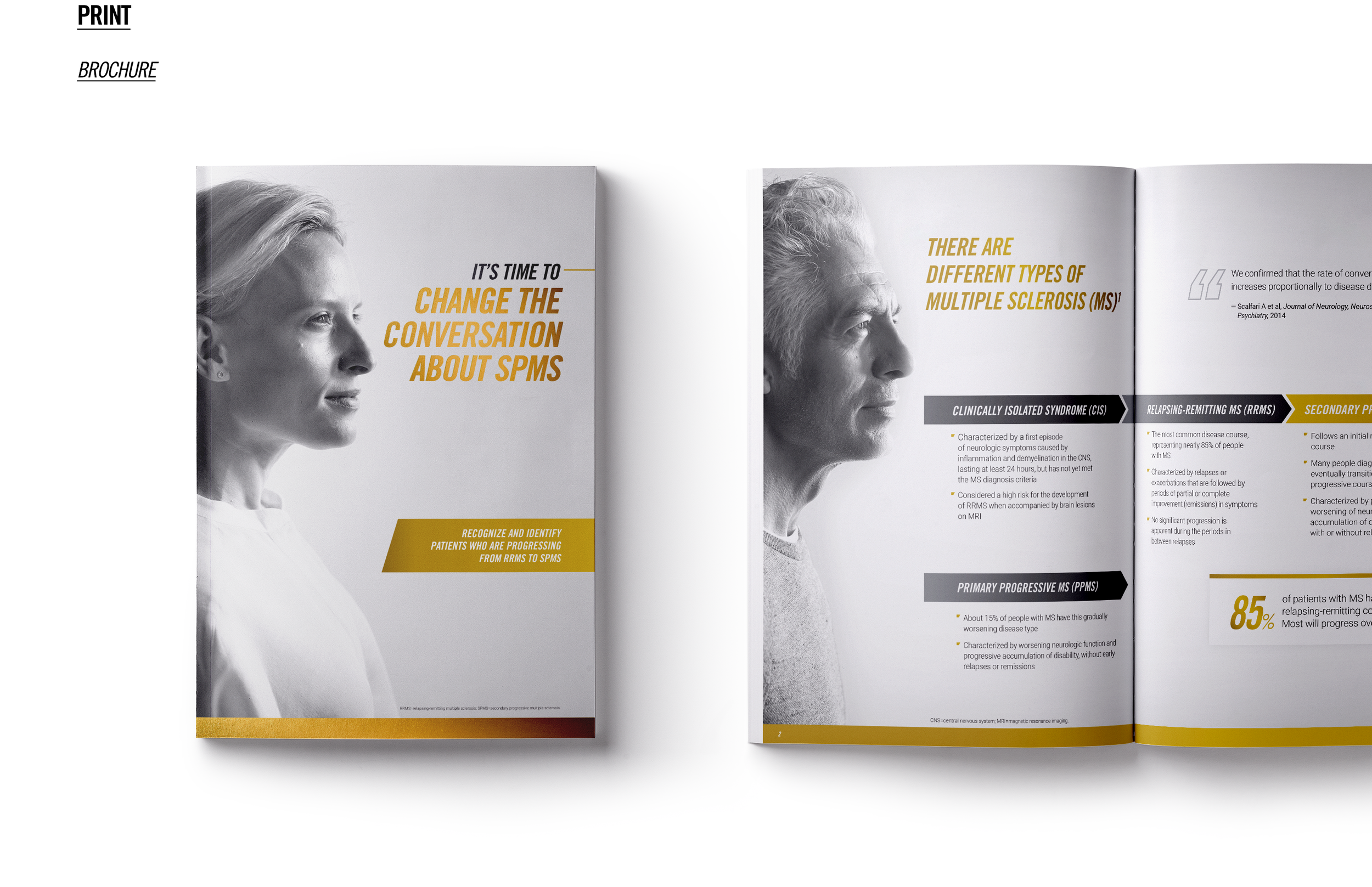 Brochure_2a.png