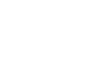 Ivan N Kostadinov
