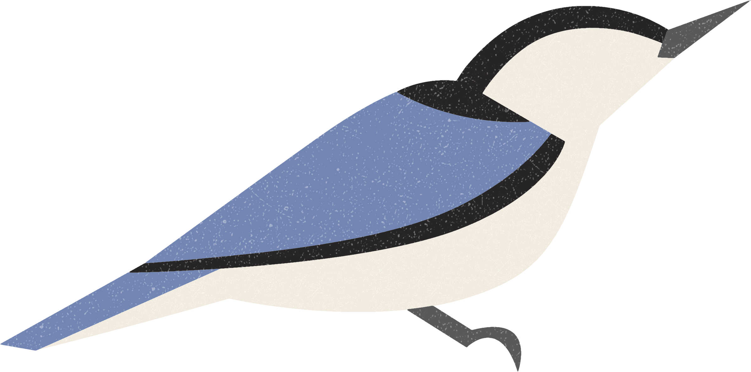 nuthatch.png