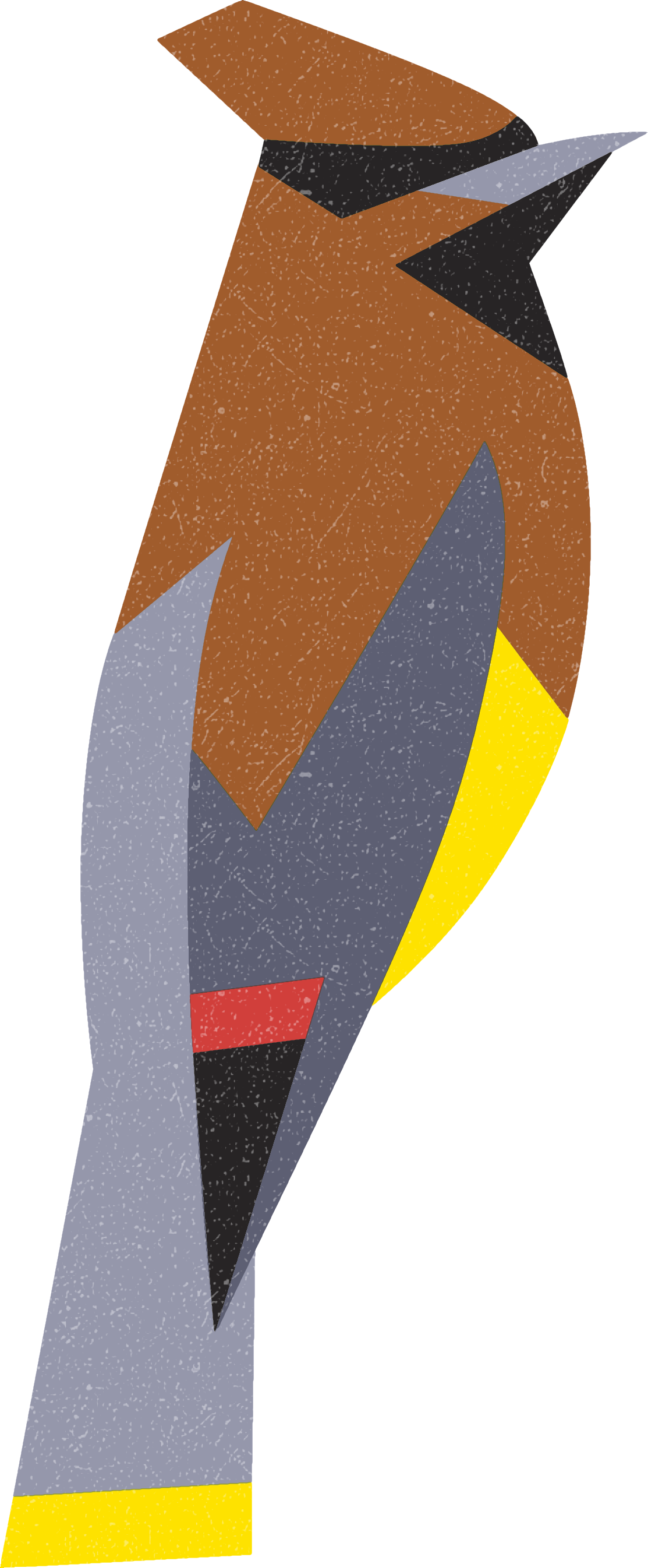 waxwing.png