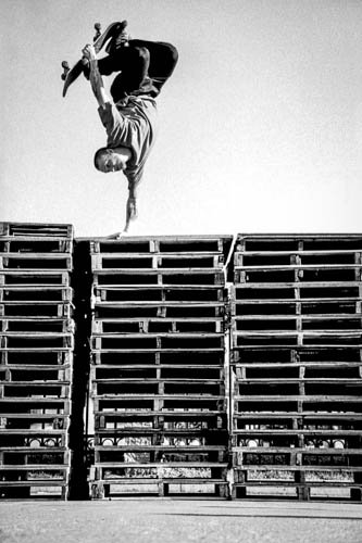 13x19 hand plant.jpg