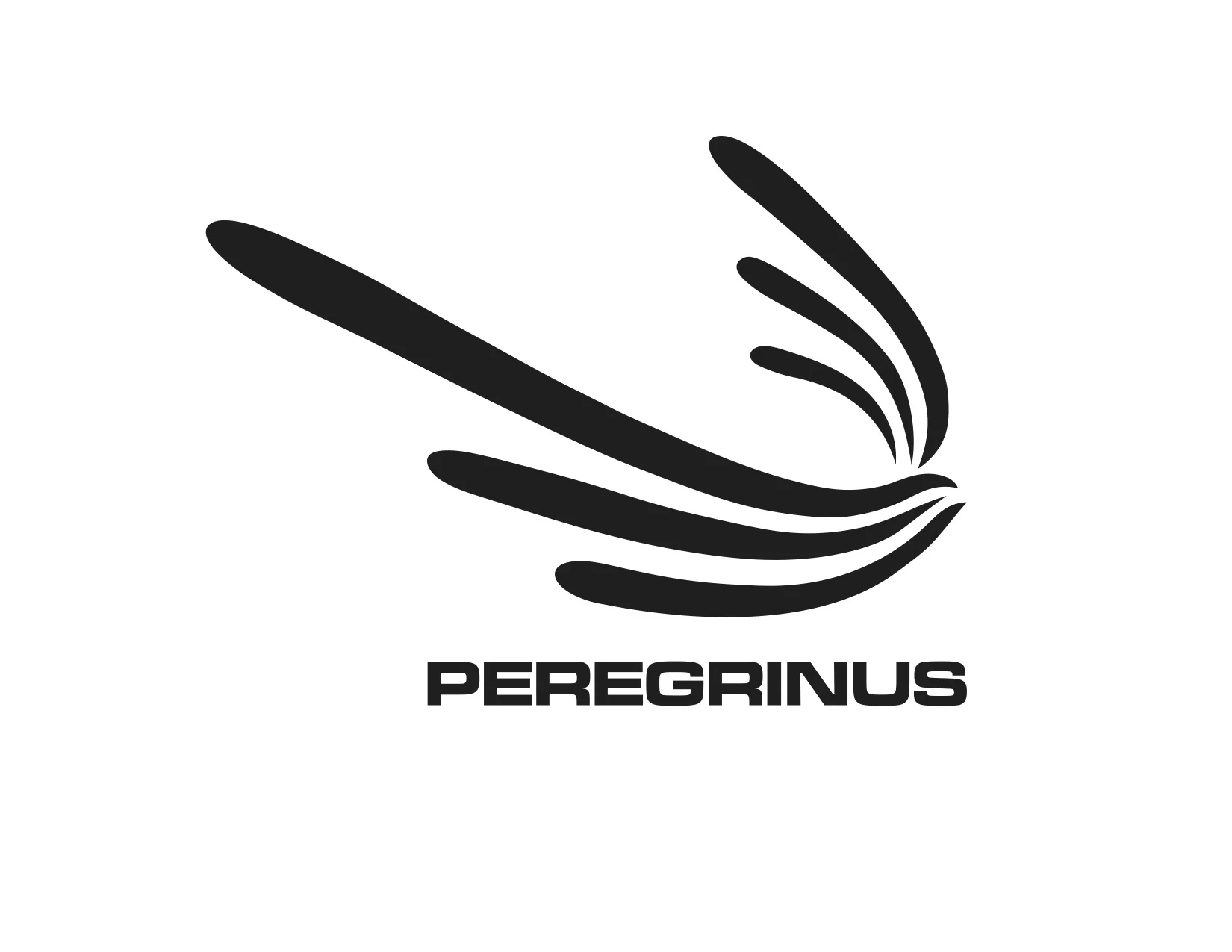 peregrinus1.jpg